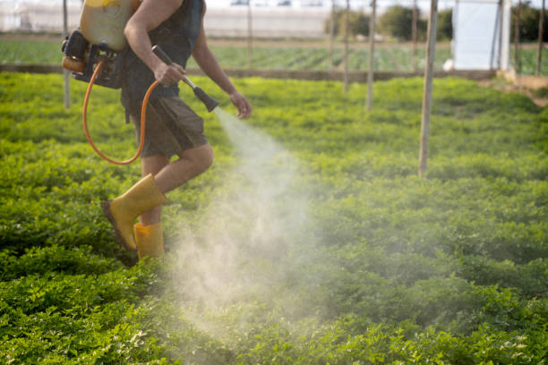 Best Exterminator Services  in Tutwiler, MS