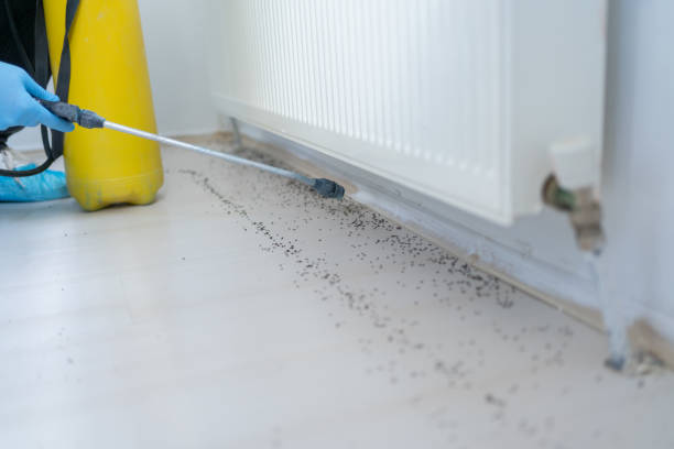 Best Pest Prevention Services  in Tutwiler, MS