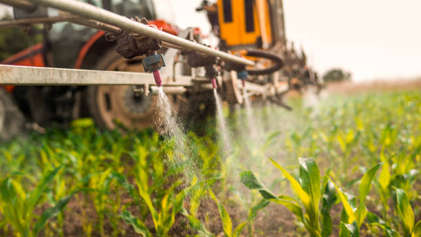 Best Local Pest Control Services  in Tutwiler, MS